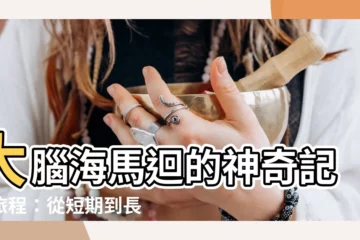 【大腦海馬迴】大腦海馬迴的神奇記憶旅程：從短期到長期