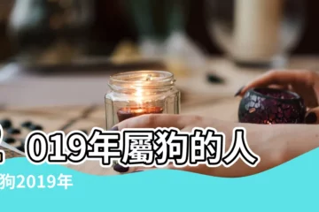 【1982年2019年美國運勢】2019年屬狗的人 |屬狗2019年運勢及運程 |2019年十二生肖運勢系列 |