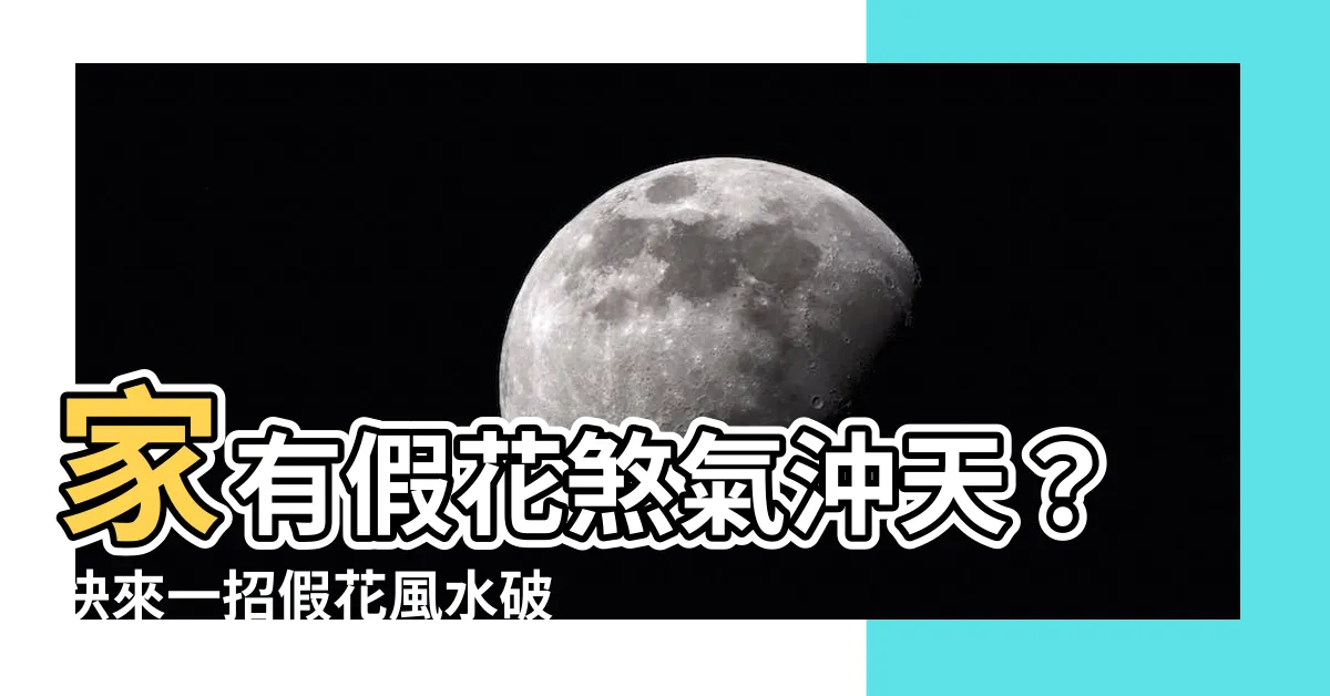 【假花風水破解】家有假花煞氣沖天？快來一招假花風水破解法