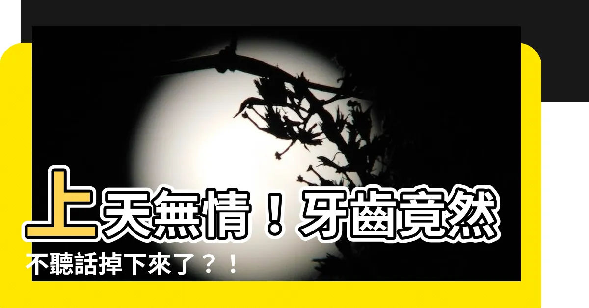 【牙齒掉了】上天無情！牙齒竟然不聽話掉下來了？！快來看看超緊急救援措施！