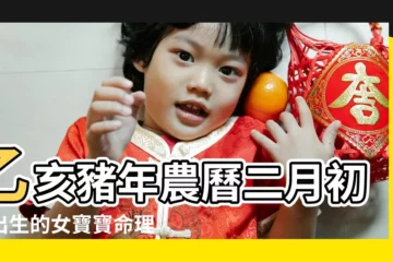 【二月初五生的豬寶寶】乙亥豬年農曆二月初五出生的女寶寶命理如何 |農曆2月出生屬豬人命好嗎 |幾月出生的豬寶寶最好命 |