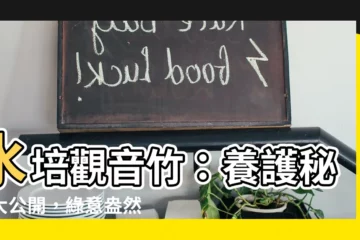 【水培觀音竹】水培觀音竹：養護秘訣大公開，綠意盎然不發黃！