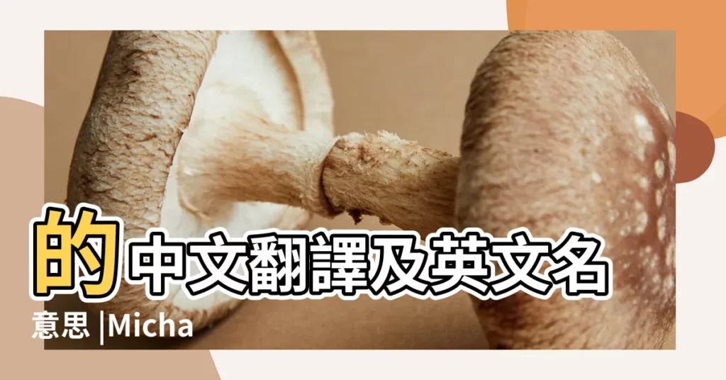 的中文翻譯及英文名意思 |Michael |邁克爾Michael名字寓意 |【michael的英文名字怎麼寫】