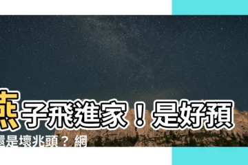 【燕子飛進來】燕子飛進家！是好預兆還是壞兆頭？ 網友熱議「快來解謎」