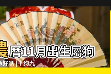 【屬狗農曆十一月二十寅時】農曆11月出生屬狗人命好嗎 |十狗九苦 |屬狗的寅時出生好嗎 |