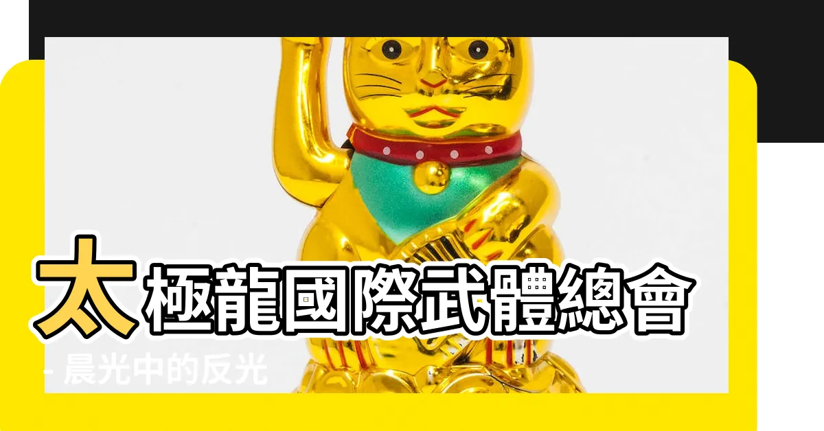 【太極龍】太極龍國際武體總會 - 晨光中的反光貼紙