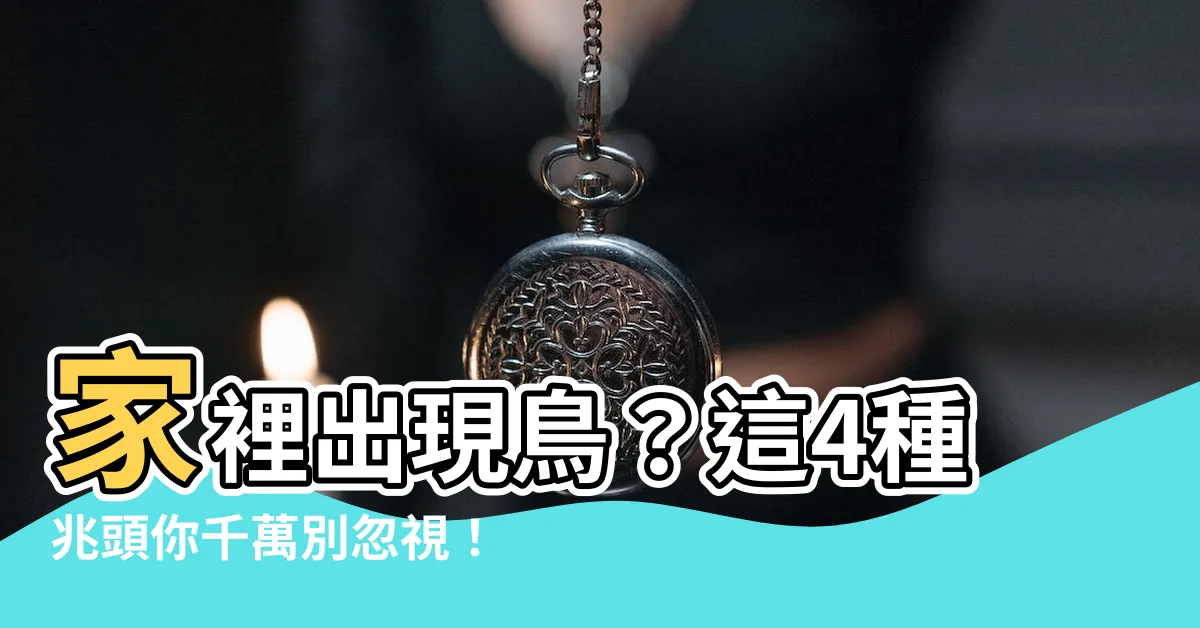 【家裡出現鳥】家裡出現鳥？這4種兆頭你千萬別忽視！