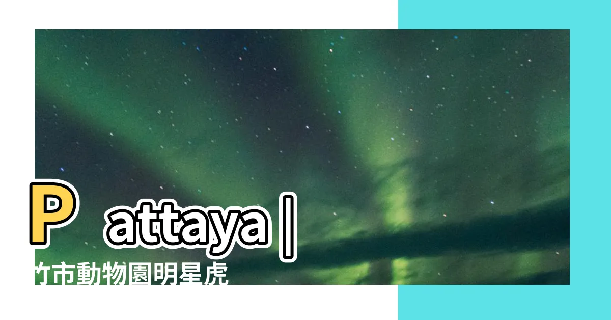 【考慮 老虎】Pattaya |竹市動物園明星虎 |的是心情比較焦慮 |
