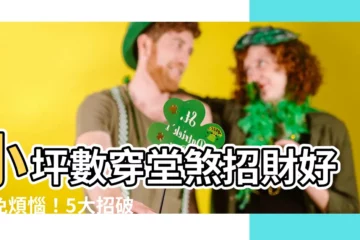 【小坪數穿堂煞化解】小坪數穿堂煞招財好運免煩惱！5大招破解財運不再漏光光