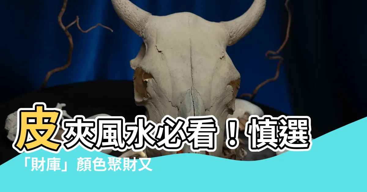 【風水錢包顏色】皮夾風水必看！慎選「財庫」顏色聚財又旺運