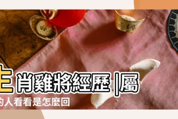 【屬雞的11月運勢如何】生肖雞將經歷 |屬雞的人看看是怎麼回事 |2喜1災 |