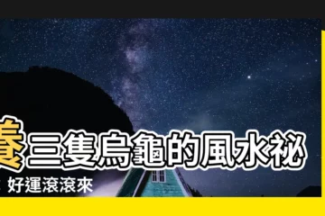 【養三隻烏龜】養三隻烏龜的風水秘密：好運滾滾來