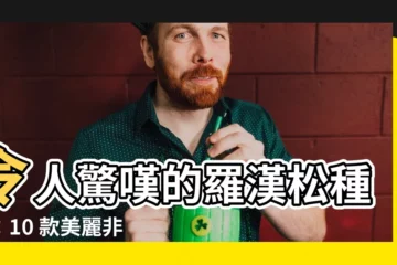 【羅漢松種類】令人驚嘆的羅漢松種類：10 款美麗非凡的品種