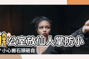 【辦公室放仙人掌】辦公室放仙人掌防小人？小心搬石頭砸自己的腳