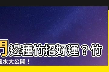 【竹子 風水】門邊種竹招好運？竹子風水大公開！