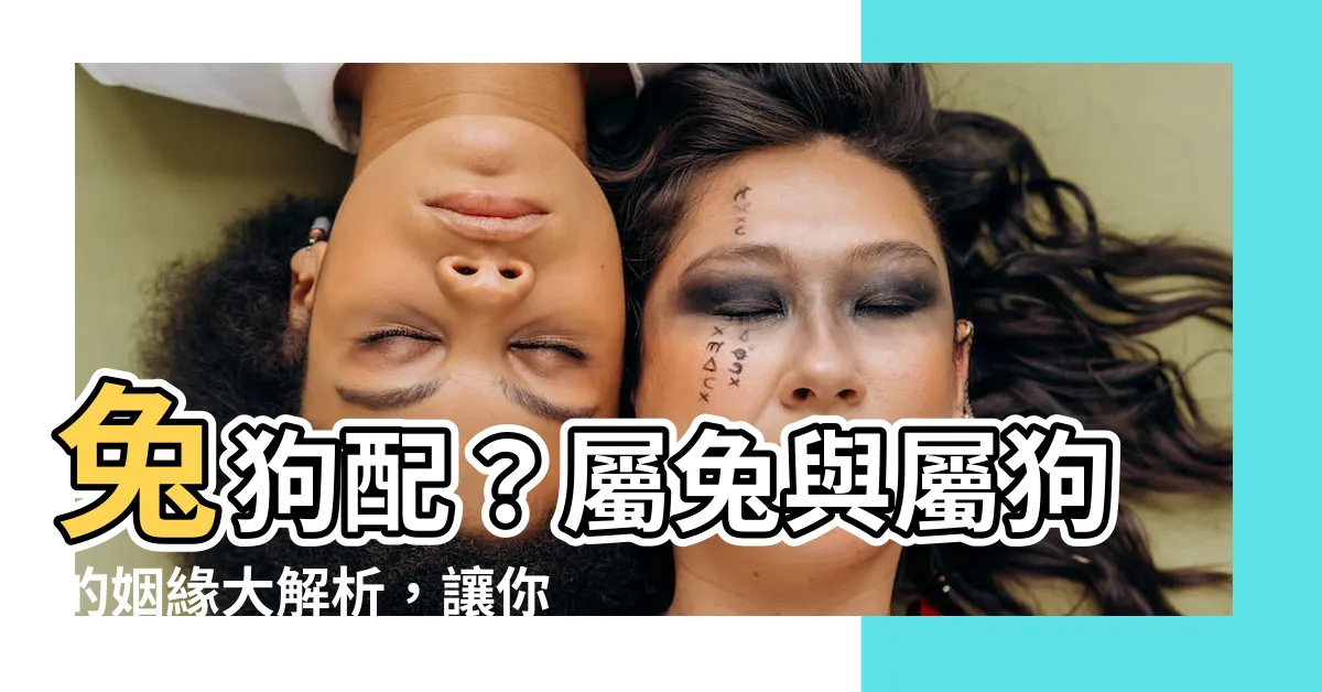 【兔狗】兔狗配？屬兔與屬狗的姻緣大解析，讓你驚呼「哇！」