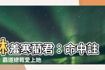 【林羞寒藺君】林羞寒藺君：命中註定，霸道總裁愛上她