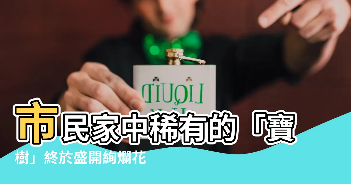 【寶樹開花】市民家中稀有的「寶樹」終於盛開絢爛花朵，難得一見的奇觀！