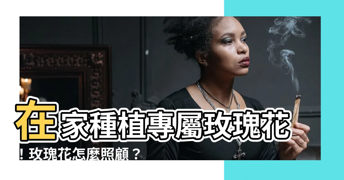 【玫瑰花怎麼照顧】在家種植專屬玫瑰花！玫瑰花怎麼照顧？日常養護全攻略