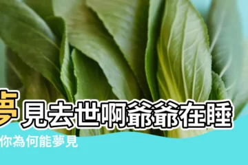 【夢見去世的爺爺回家睡覺】夢見去世啊爺爺在睡覺 |你為何能夢見去世的親人 |原來並非迷信 |