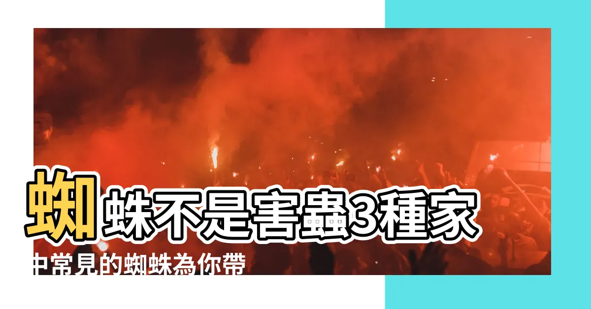 【家中小蜘蛛】蜘蛛不是害蟲3種家中常見的蜘蛛為你帶來好處 |該把家裡的蜘蛛殺掉嗎 |蛛事吉祥 |