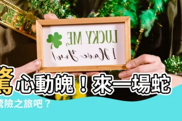 【蛇山】驚心動魄！來一場蛇山驚險之旅吧？