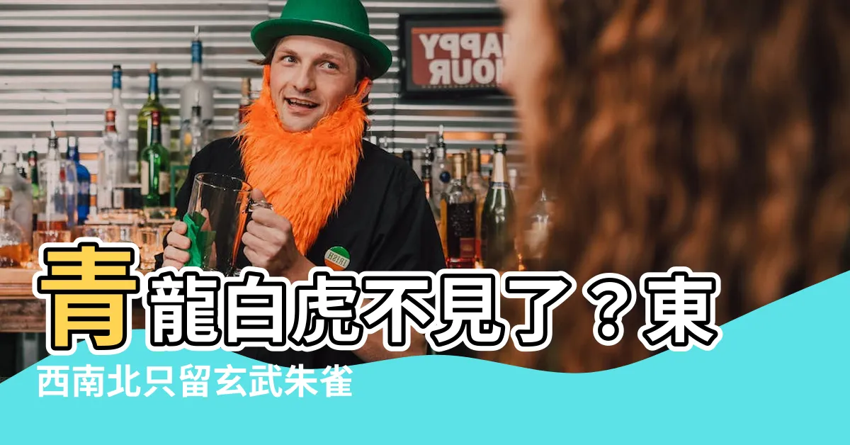 【東西南北 朱雀玄武】青龍白虎不見了？東西南北只留玄武朱雀，揭曉隱藏的中神獸！