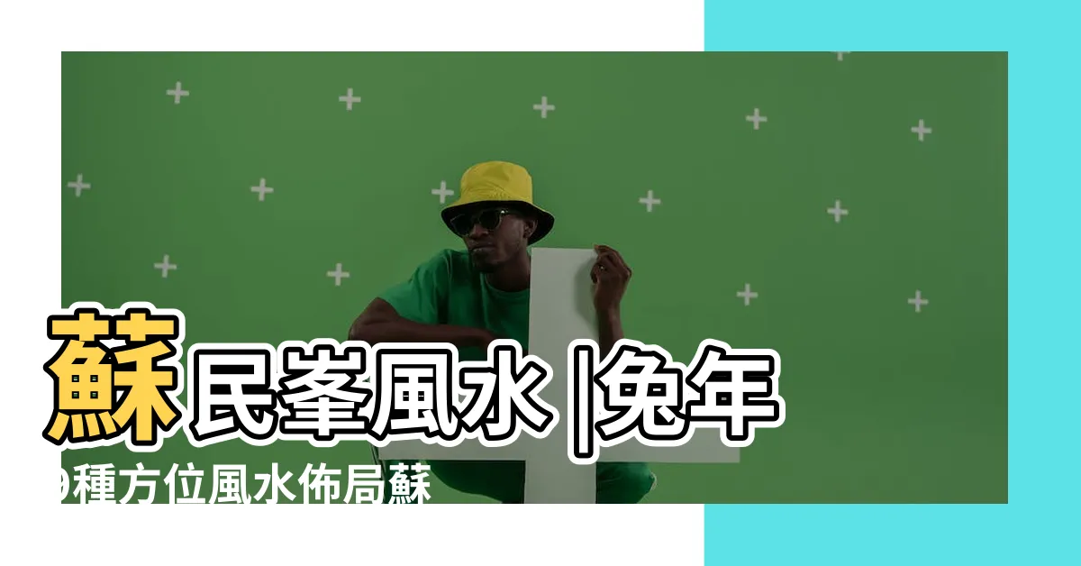 【病位化解】蘇民峯風水 |兔年9種方位風水佈局蘇民峯教擺化病 |正東方病位須化解 |