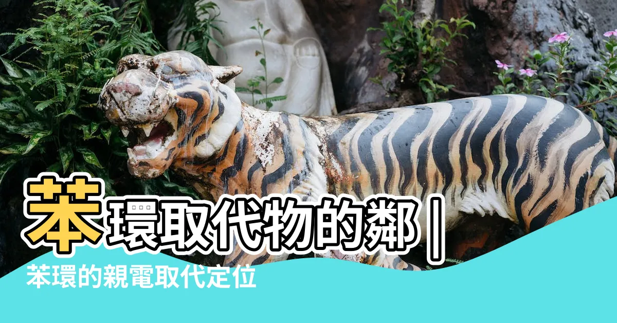 【鄰 間 對】苯環取代物的鄰 |苯環的親電取代定位效應 |英文怎麼説 |
