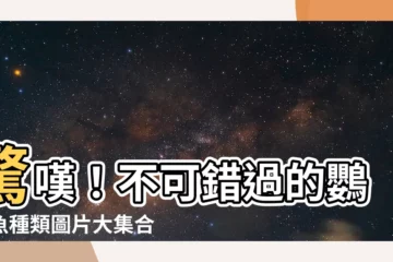 【鸚鵡魚種類】驚嘆！不可錯過的鸚鵡魚種類圖片大集合