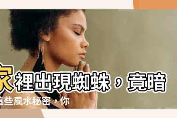 【家裡 蜘蛛 風水】家裡出現蜘蛛，竟暗藏這些風水秘密，你都瞭解嗎？
