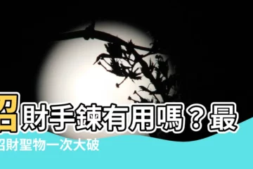 【招財手鍊有用嗎】招財手鍊有用嗎？最強招財聖物一次大破解！