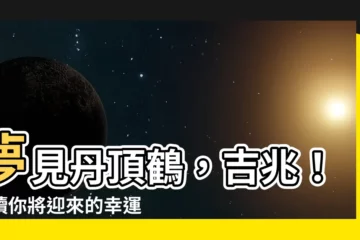 【夢見丹頂鶴】夢見丹頂鶴，吉兆！解讀你將迎來的幸運與福氣