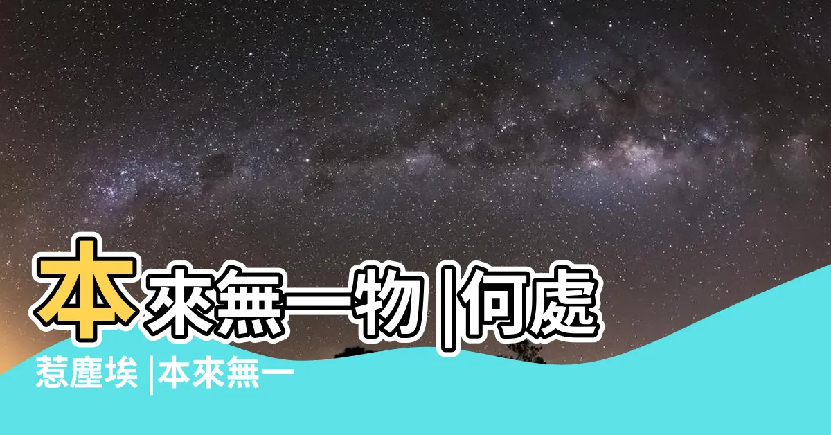 【本來無一物何處惹塵埃用法】本來無一物 |何處惹塵埃 |本來無一物 |