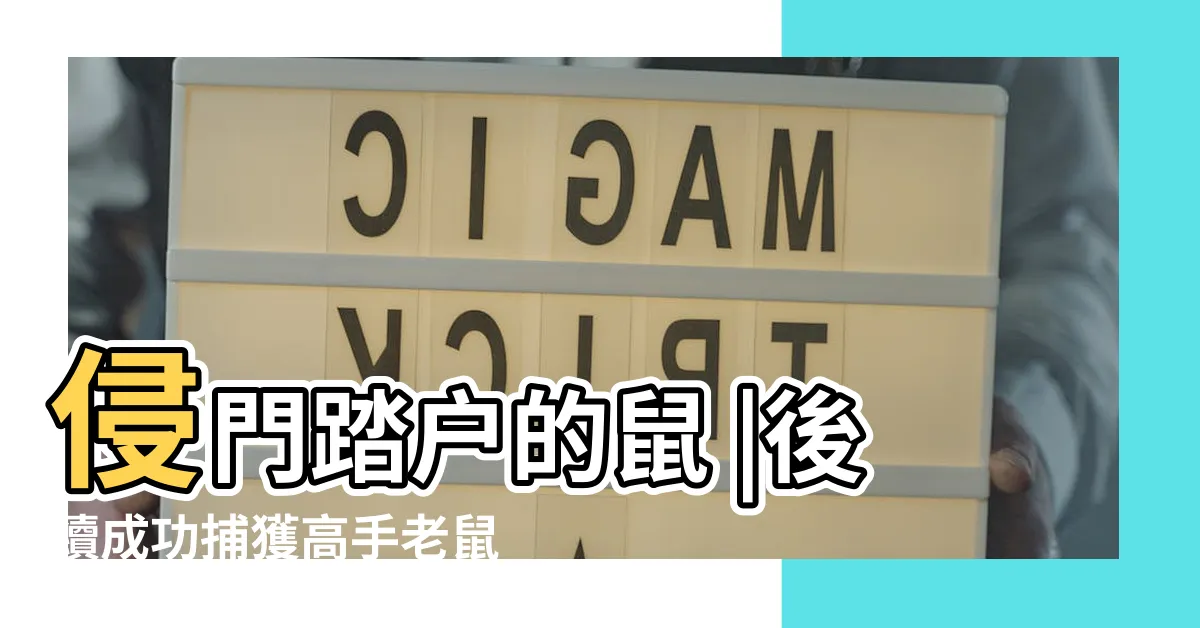 【滅鼠公司dcard】侵門踏户的鼠 |後續成功捕獲高手老鼠 |求助如何滅掉高手老鼠 |
