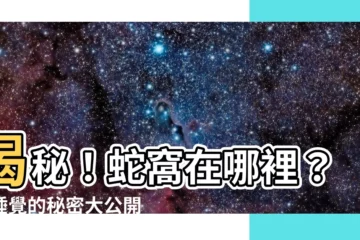 【蛇住在哪裏】揭秘！蛇窩在哪裡？蛇睡覺的秘密大公開！