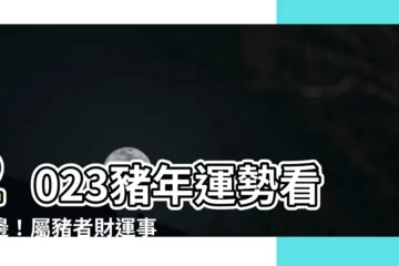 【2023 豬】2023豬年運勢看這邊！屬豬者財運事業全攻略