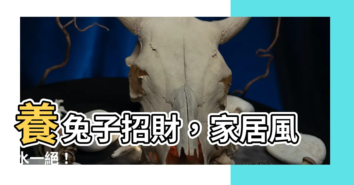 【養兔子招財】養兔子招財，家居風水一絕！