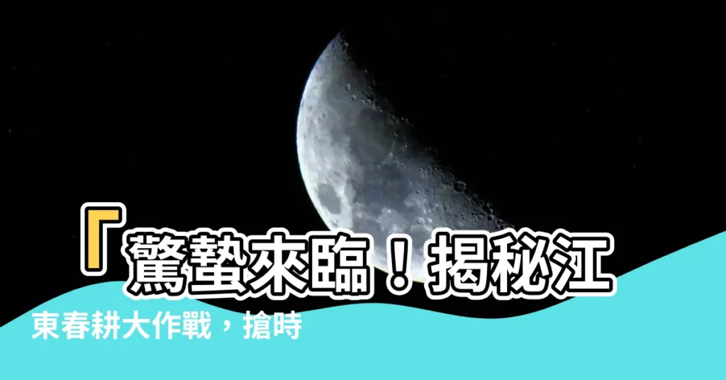 【江東】「驚蟄來臨！揭秘江東春耕大作戰，搶時間搶機會」