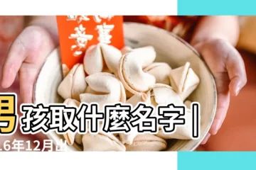【2016年12月男孩取名】男孩取什麼名字 |2016年12月出生猴寶寶取名 |陽曆2016年12月生的寶寶取什麼名字 |