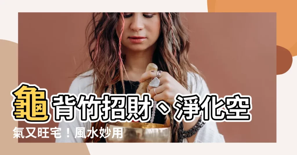 【龜 背 竹 風水】龜背竹招財、淨化空氣又旺宅！風水妙用不可錯過