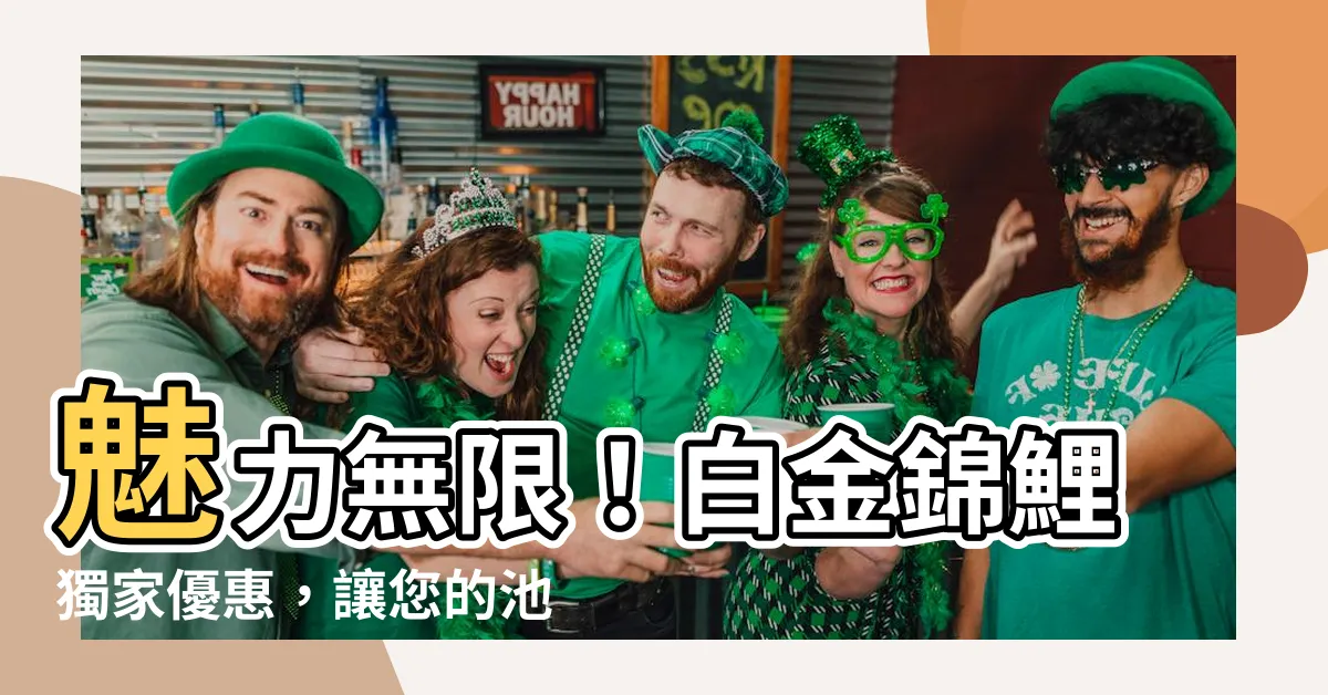 【白金錦鯉】魅力無限！白金錦鯉獨家優惠，讓您的池塘煥然一新！