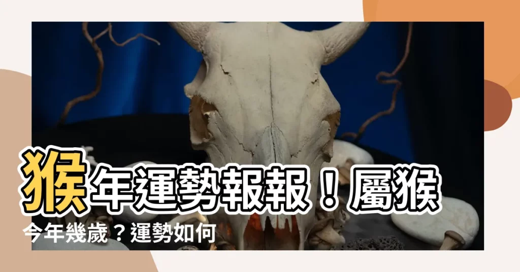 【屬猴】猴年運勢報報！屬猴今年幾歲？運勢如何？快來一探究竟！