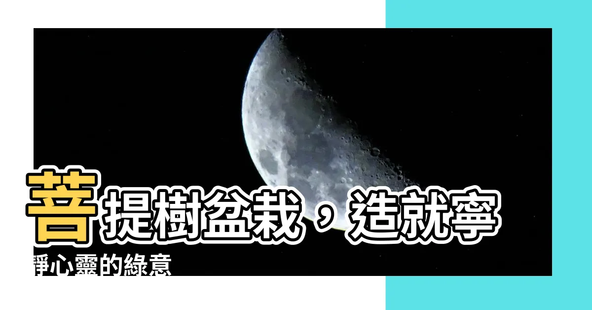 【菩提樹盆栽】菩提樹盆栽，造就寧靜心靈的綠意