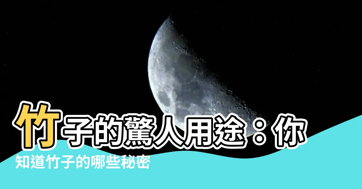【竹子用途】竹子的驚人用途：你知道竹子的哪些秘密？
