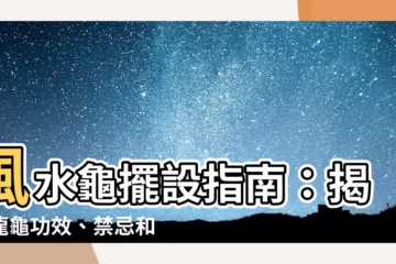 【風水龜擺設】風水龜擺設指南：揭秘龍龜功效、禁忌和擺放秘訣