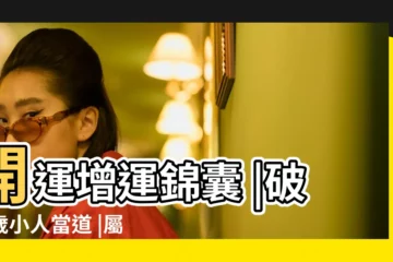 【屬豬人女的今年運勢】開運增運錦囊 |破太歲小人當道 |屬豬運程 |