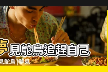 【周公解夢夢見鴕鳥】夢見鴕鳥追趕自己 |夢見鴕鳥 |夢見鴕鳥 |