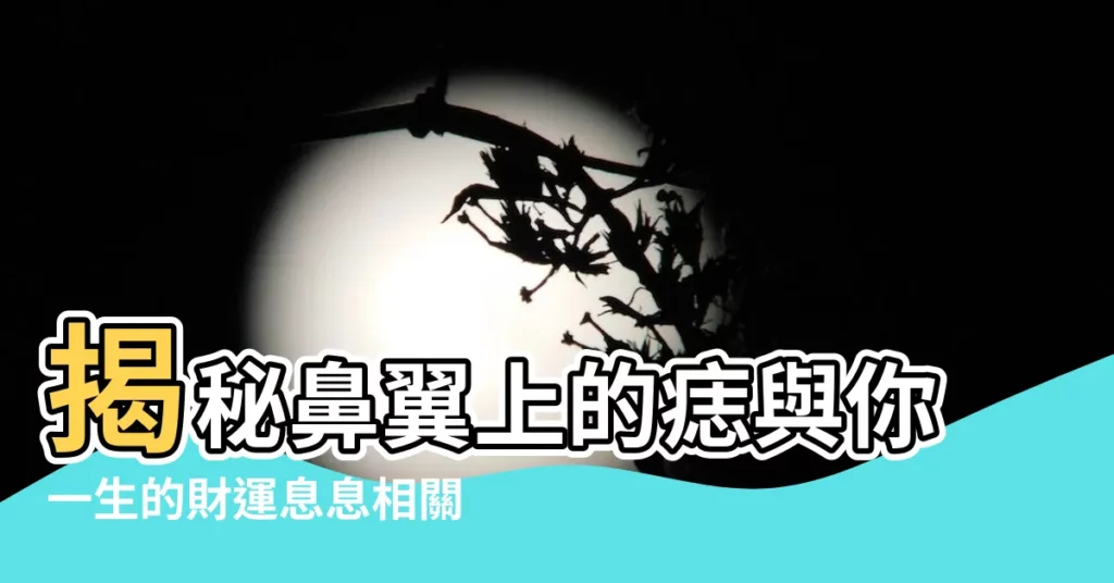 【鼻翼上的痣】揭秘鼻翼上的痣與你一生的財運息息相關！