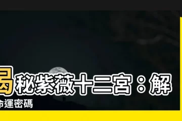 【紫薇十二宮】揭秘紫薇十二宮：解開命運密碼